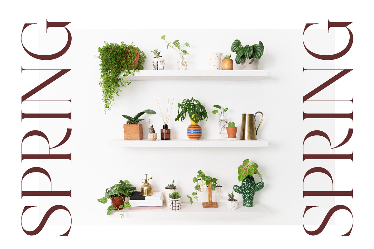 Hamster Modern Serif Font, a Serif Font by Letterena Studios (Photo 3 of 15)