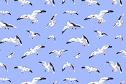 Birds fly in sky, seamless patterns, an Animal Illustration by PaperTrident (Thumbnail 6 of 16)