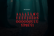 Nothing Inside | Horror Typeface, a Serif Font by Denustudios (Thumbnail 11 of 12)