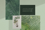 Organic Macro Botanical Textures, a Texture Graphic by Elena Pimonova (Thumbnail 13 of 13)