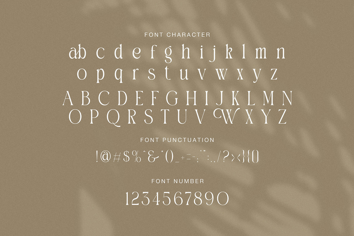 Walker Elegant Serif Font, a Serif Font by Graphicxell (Photo 7 of 8)