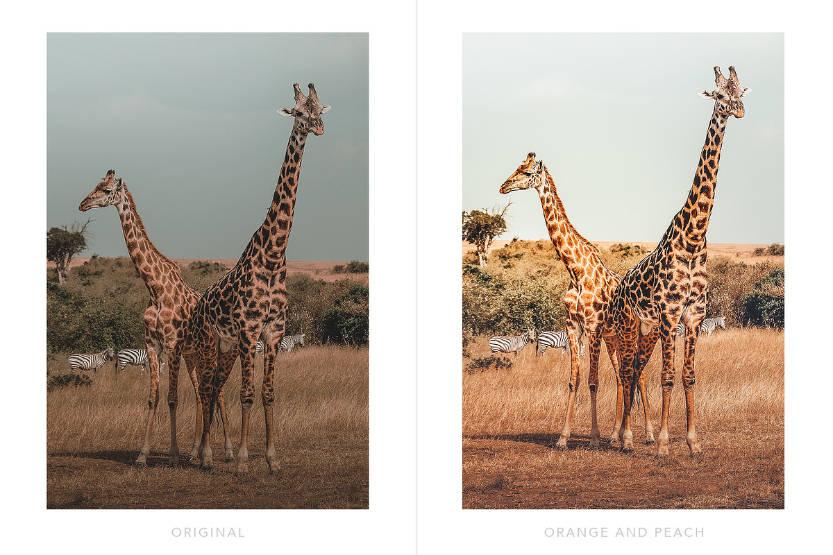 Instagram Blogger Lightroom presets, an Action Add-On by BeArt-Presets (Photo 14 of 21)