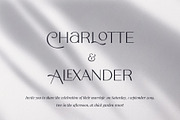 Limoncello Playful Font, a Sans Serif Font by VladCristea (Thumbnail 9 of 9)