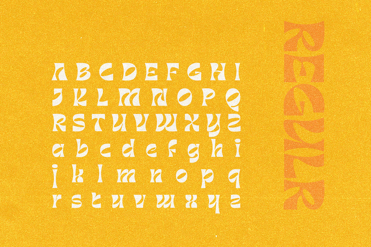 Barbra Display, a Font by nurrontype (Photo 13 of 15)