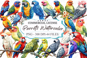 Parrots Watercolor Clipart, an Illustration by designcity5