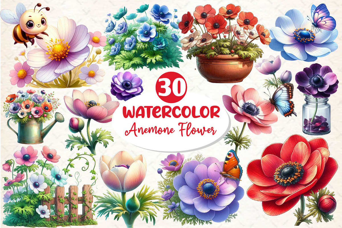 Anemone Flower Bloom Clipart, an Illustration by Dream Creation (Photo 1 of 6)