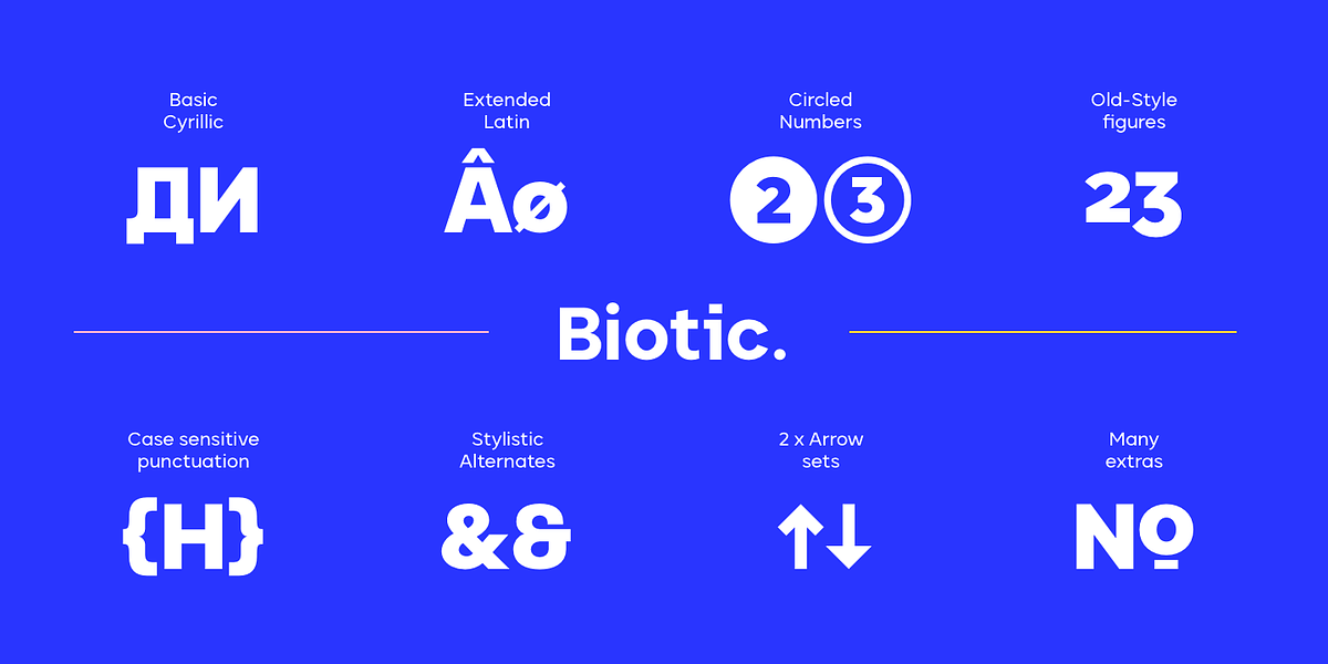 Biotic, a Sans Serif Font by TypeUnion (Photo 13 of 15)