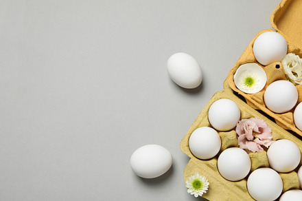 Concept of spring, eggs with flowers, space for text, a Food & Drink Photo by AtlasStudio PRO