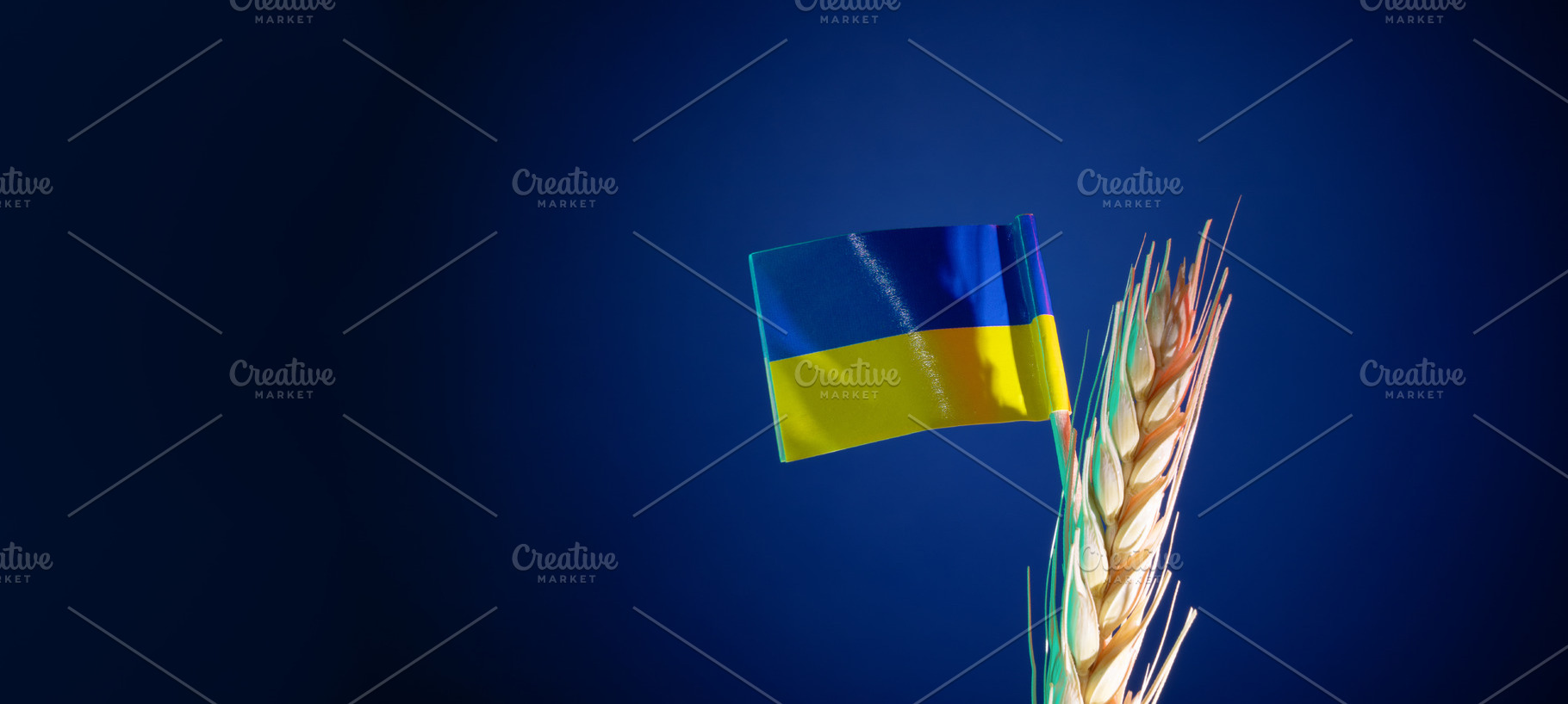 Ukrainian flag atop a wheat stalk against a deep blue background, a Food & Drink Photo by Ales Munt