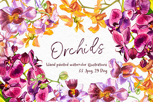 Orchids branch in botanical style