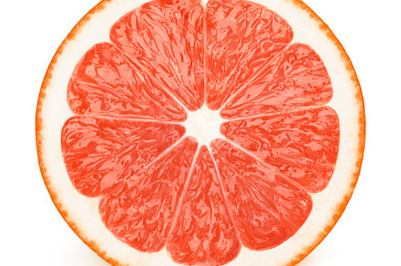 Half of grapefruit slice isolated containing grapefruit, slice, and half