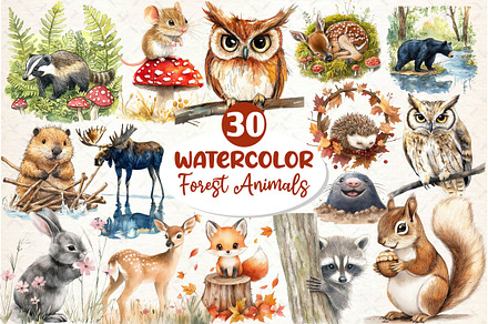 Woodland Forest Animals Clipart, an Illustration by Dream Creation