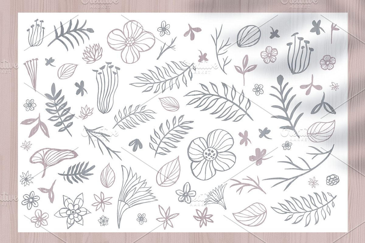 Night Moths, Butterflies Vector Set, a Graphic by Iraida_Bearlala (Photo 4 of 5)