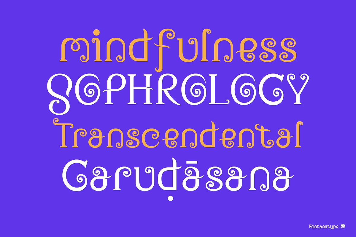 Mantra, a Sans Serif Font by Fontanatype (Photo 8 of 12)