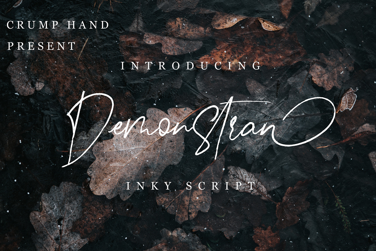 Demonstran | Inky Script, a Script Font by Crump Hand (Photo 1 of 6)