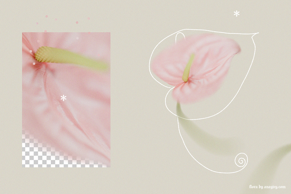 FLORA.PNG | Blurry Flower Collage, an Object Graphic by ana & yvy (Photo 3 of 23)