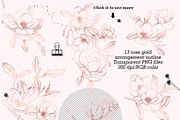 Magnolia Graphic Collection, a Decorative Illustration by Elly Studio (Thumbnail 2 of 14)