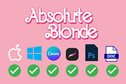 Absolute Blonde Typeface, a Serif Font by The GG Shop (Thumbnail 3 of 14)
