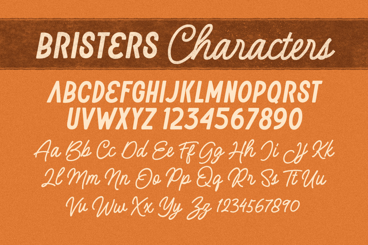 Brister - Display Font Duo, a Font by Letterhend Studio (Photo 5 of 9)