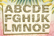 Tiki Euphoria Font, a Symbol Font by Fontastic Ventures (Thumbnail 3 of 7)
