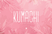 Kumachi, a Symbol Font by Linecreative (Thumbnail 1 of 8)