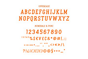 Pumpkin Darling - Slab Serif Font, a Slab Serif Font by ariodsgn (Thumbnail 2 of 7)