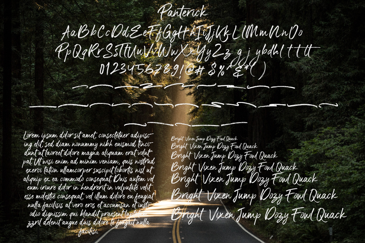 Panterick Handwritten Font preview 8