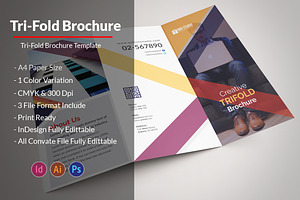 Creative Tri-Fold Brochure