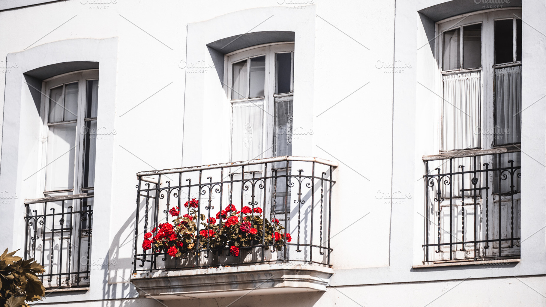 Vintage balcony with red flowers, an Architecture Photo by SkyNext