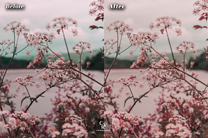 10 Rose Gold Lightroom Presets