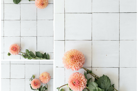 Eucalyptus stock photography containing stock photography, styled stock, an Arts & Entertainment Photo by Smitten Photo & Design