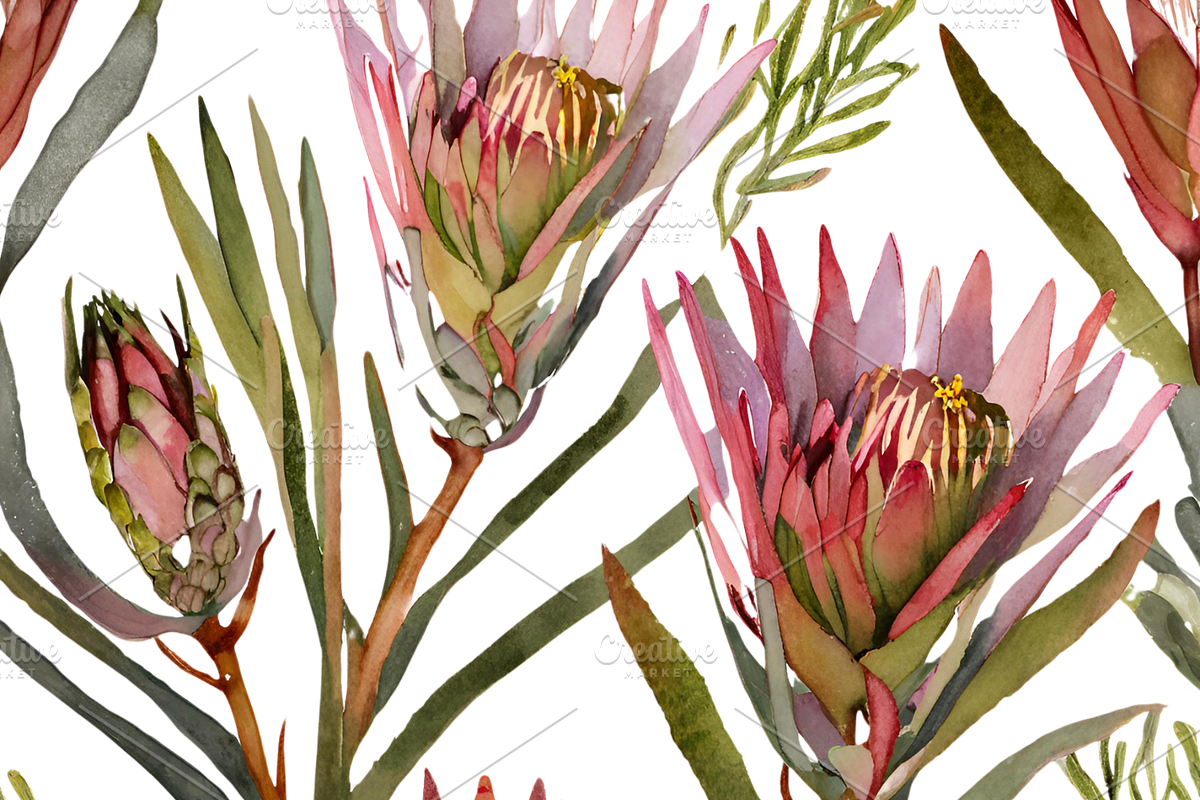 Watercolor Fynbos Flowers, a Decorative Illustration by Karliefie (Photo 3 of 6)