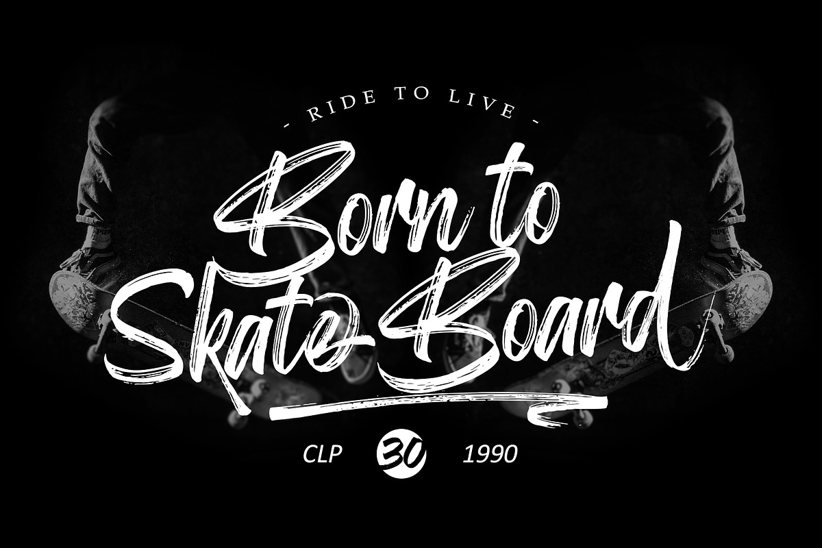 Birdrockers || Realistic Brush Font preview 7