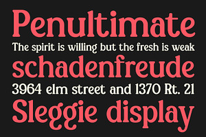 Sleggie Display Font