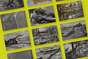 The Age of Dinosaurs, an Illustration by Nomad Visuals (Thumbnail 6 of 10)