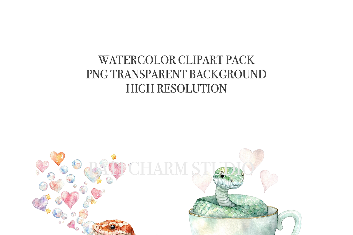 25 Quirky Snake Clipart PNGs, an Animal Illustration by Pati Charm Studio (Photo 5 of 8)