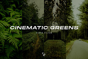 225 Cinematic LUTS Video Filters, a Preset Add-On by CVR Presets (Thumbnail 8 of 10)