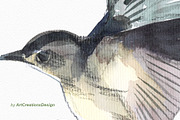 Watercolor Birdhouse Clipart Set, a Seasonal Illustration by ArtCreationsDesign (Thumbnail 3 of 12)