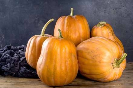 Autumn pumpkins on wooden autumn background, a Food & Drink Photo by Rimma