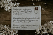 Thistlewyn by Cindy Roaming Designs, a Script Font by cindyroamingdesigns (Thumbnail 5 of 6)