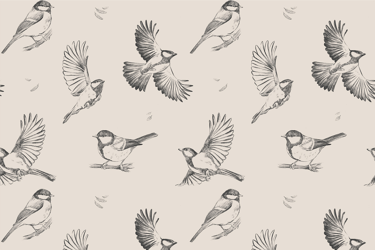 Titmous. Pencil illustrations, an Object Graphic by Tilling (Photo 4 of 5)