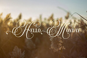 Westerlife - Elegance Serif, a Serif Font by epicatype (Thumbnail 8 of 10)