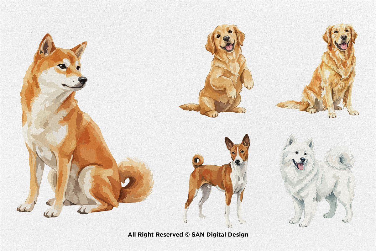15 Bundle Watercolor Big Dog Fluffy, an Animal Illustration by Morspective (Photo 5 of 8)