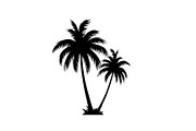 Tropical Palm Tree Silhouette Bundle, an Illustration by Amazin_art (Thumbnail 3 of 21)