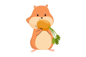 Cartoon hamster. Fluffy domestic pet, an Animal Illustration by the8monkey