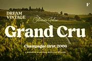 Blood Orange Vintage Serif, a Serif Font by Fenotype (Thumbnail 14 of 16)