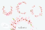 Blossoms Sakura Collection, a Decorative Illustration by ReachDreams (Thumbnail 5 of 7)