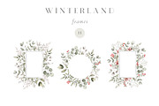 Watercolor Winter. Christmas florals, an Illustration by Kreker Kate (Thumbnail 5 of 10)