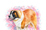 Watercolor Dogs Mega Big Bundle, an Illustration by Dneprstock (Thumbnail 59 of 60)