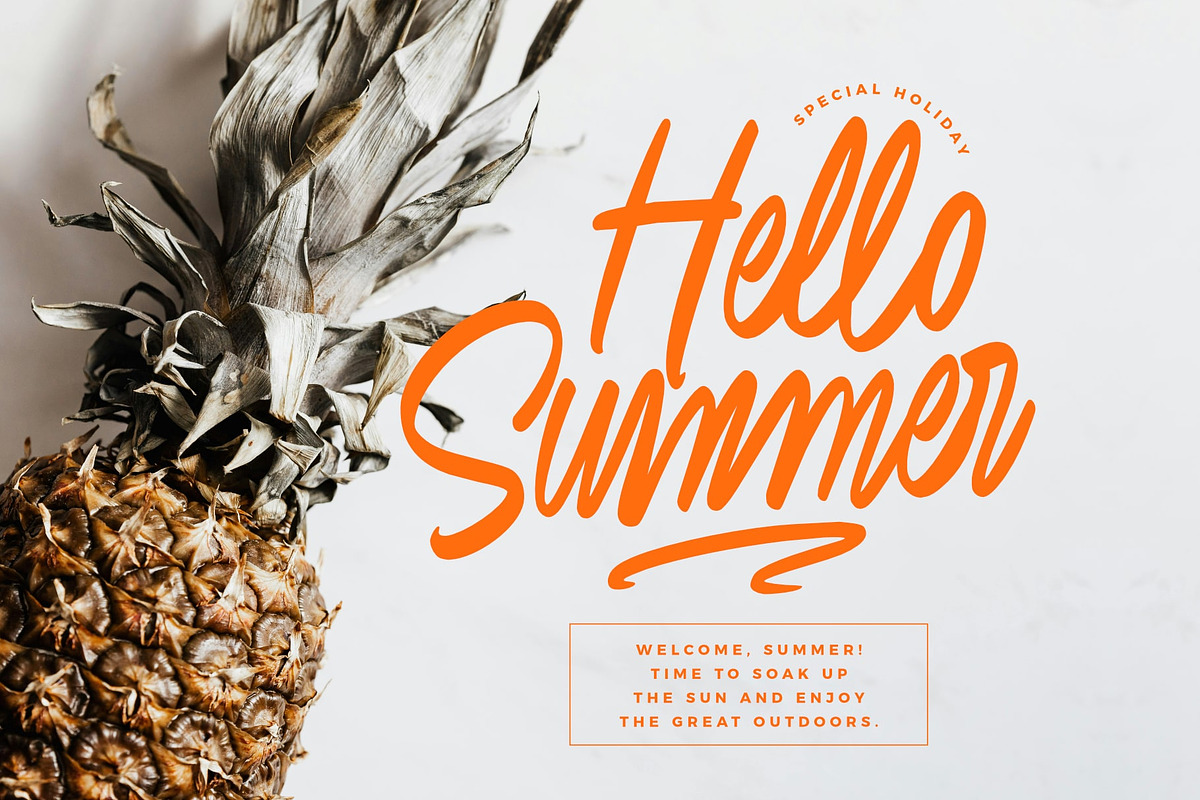Saturday Delicate Stylish Script, a Script Font by Damarletter (Photo 5 of 9)